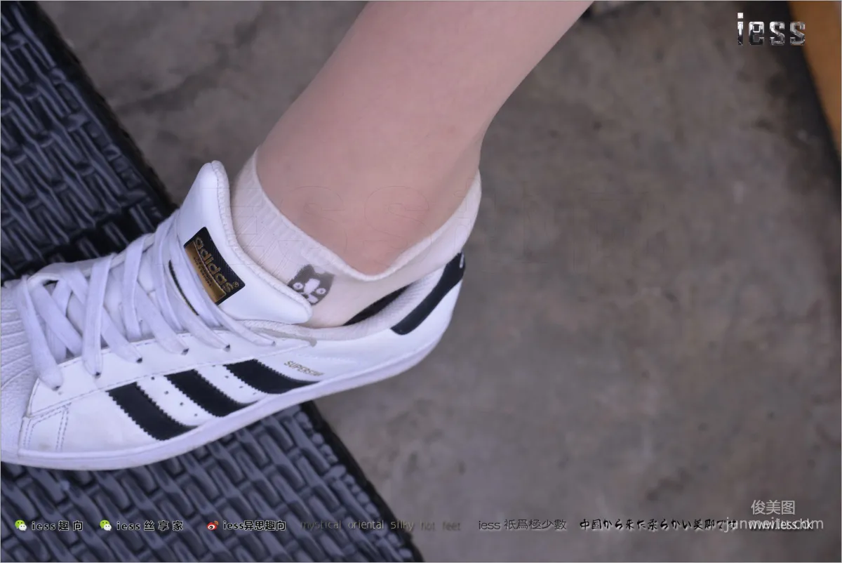 Silk Feet Bento 172 Yuan Shushu, Stockings Cotton Socks Shell Toe Double Eleven Special [IESS] Photo Set photo 27