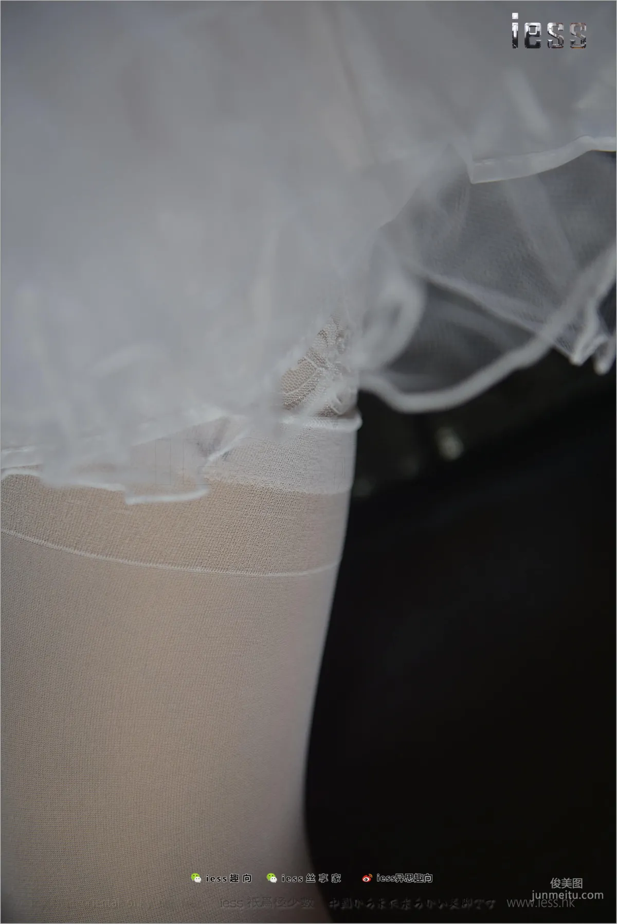 Silk Stockings Bento 159 Xiao Liu White Silver Ear [IESS] Photo Set photo 81