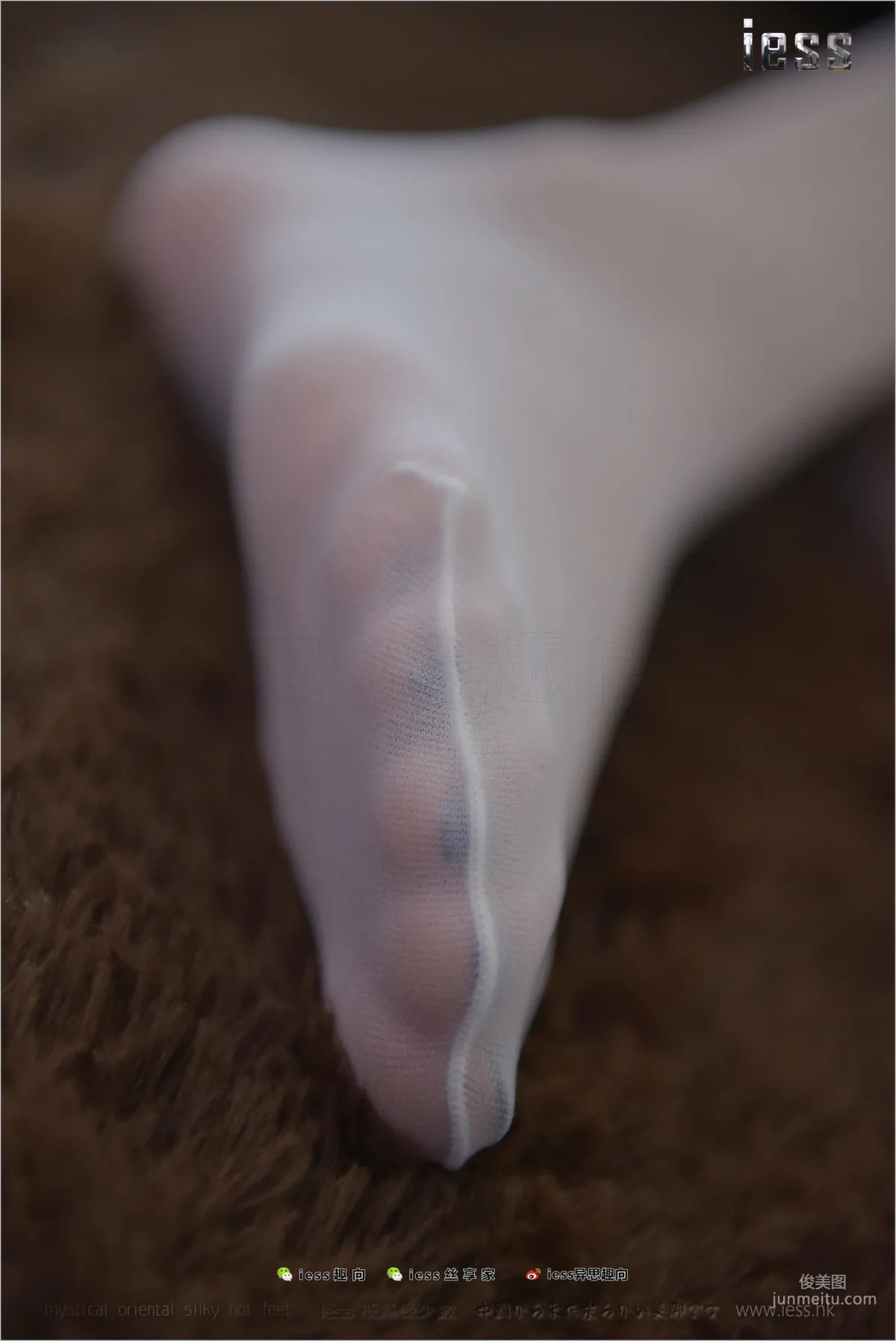Silk Stockings Bento 159 Xiao Liu White Silver Ear [IESS] Photo Set photo 5