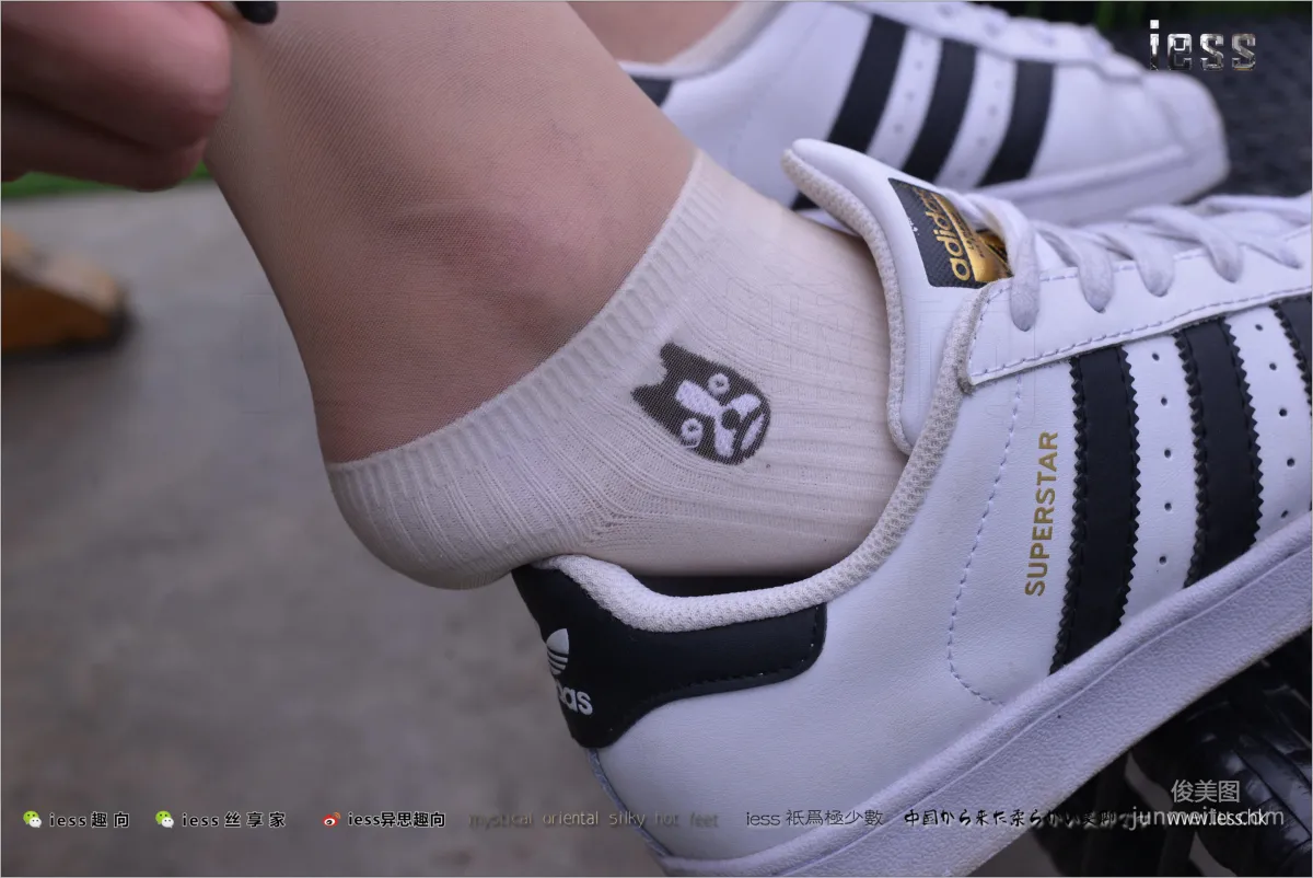 Silk Feet Bento 172 Yuan Shushu, Stockings Cotton Socks Shell Toe Double Eleven Special [IESS] Photo Set photo 32