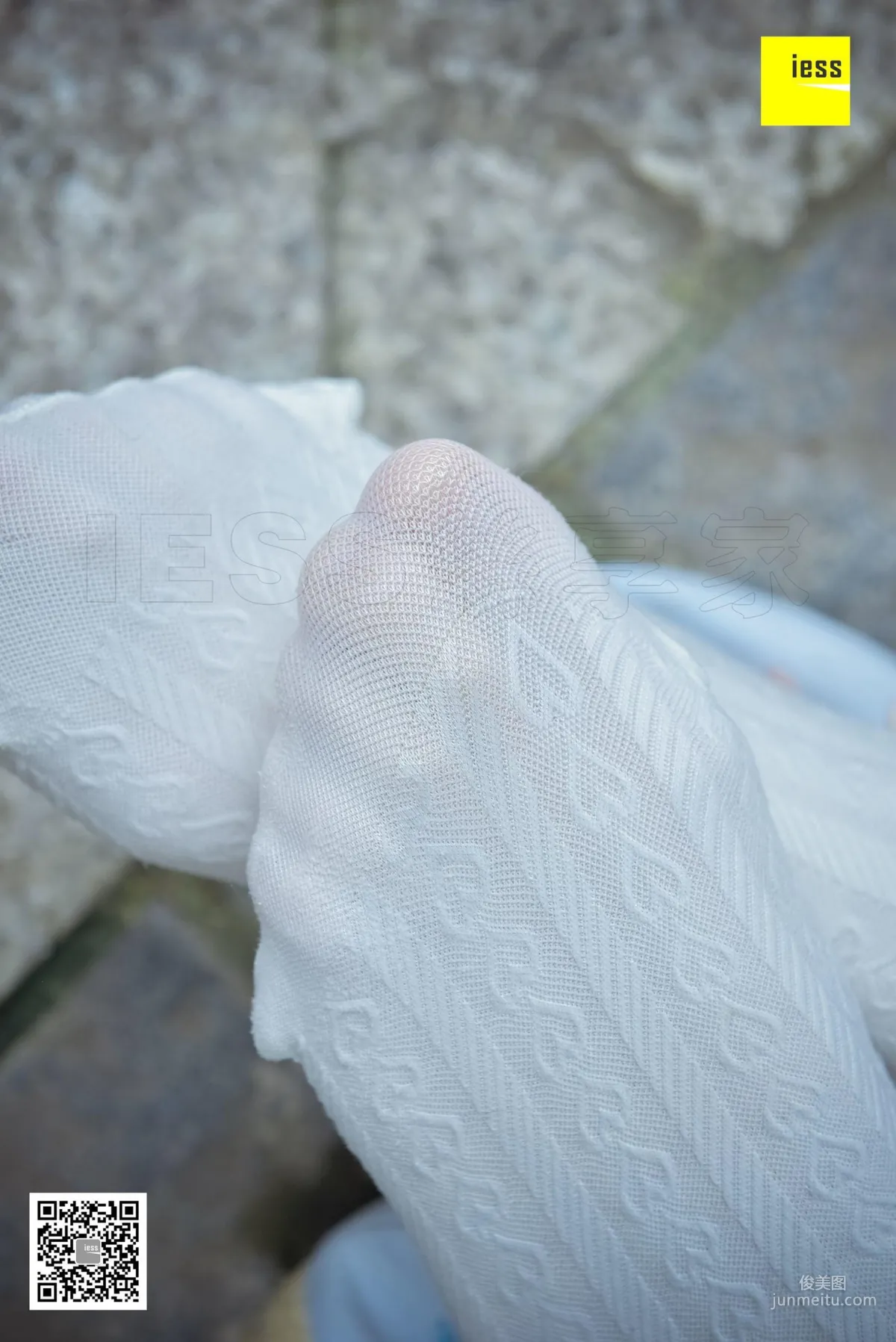 Silk Enjoyer 122 Mu Mu, Hanfu Embroidered Shoes White Socks [IESS] Photo Set photo 93