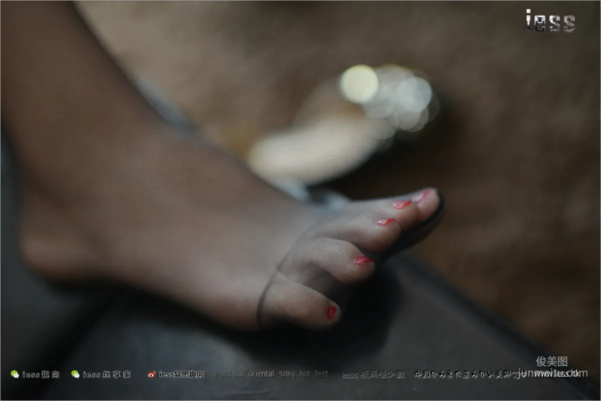 Silk Stockings Bento 162 Fang Fang, Wife's Black Stockings Feet, [IESS] Photo Set photo 96