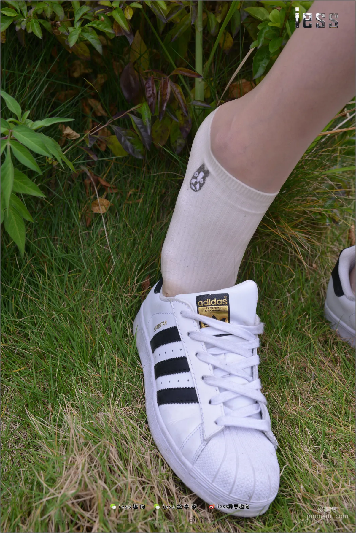 Silk Feet Bento 172 Yuan Shushu, Stockings Cotton Socks Shell Toe Double Eleven Special [IESS] Photo Set photo 79