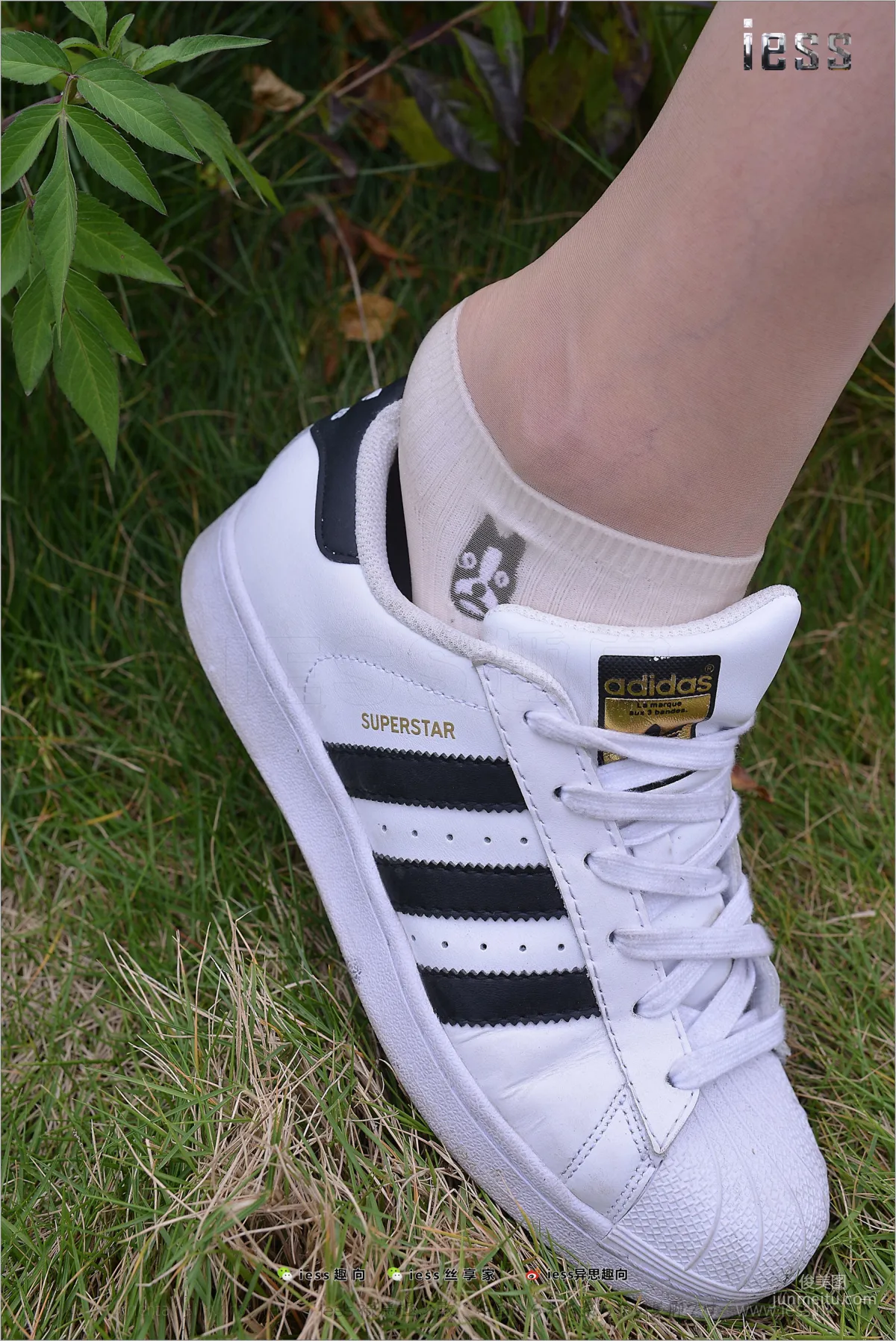 Silk Feet Bento 172 Yuan Shushu, Stockings Cotton Socks Shell Toe Double Eleven Special [IESS] Photo Set photo 74