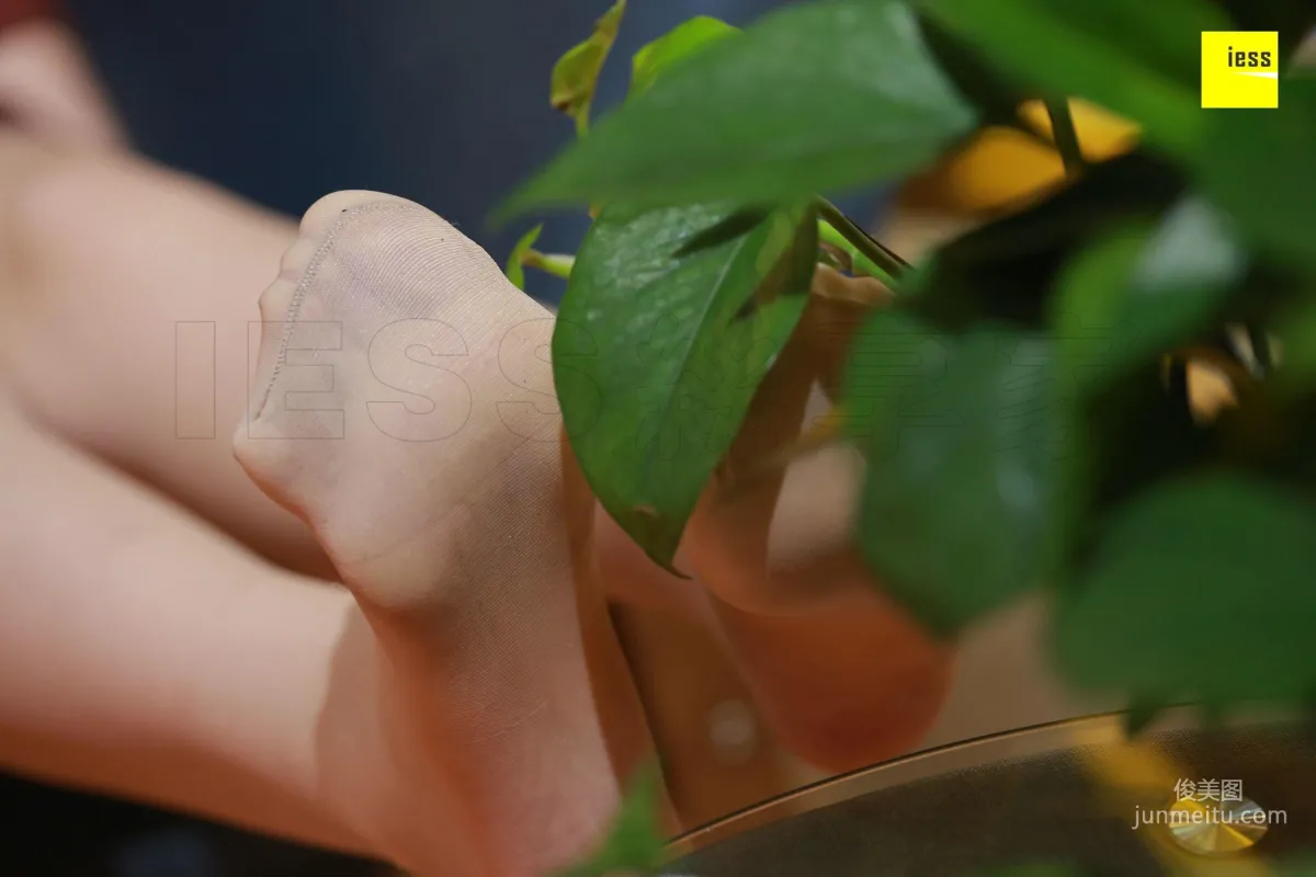 Silk Enjoyer 152 Zi Zi Flawless Beautiful Feet of Long Legs [IESS] Photo Set photo 98
