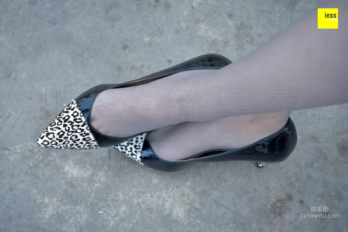 Jia Zhen Plump Slightly Fleshy Legs [IESS] Silk Enjoyer 156 Photo Set photo 14