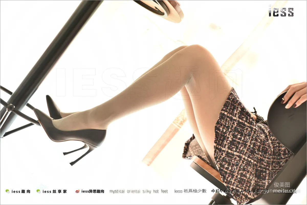Wei Wei: IESS No. 196 photo 49
