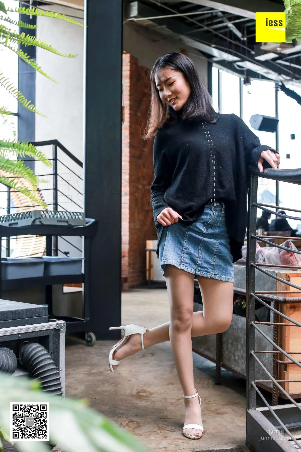 Julia: IESS No. 208 photo 8