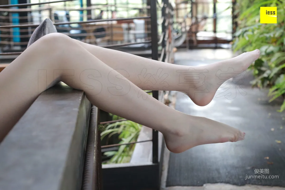 Julia: IESS No. 208 photo 80