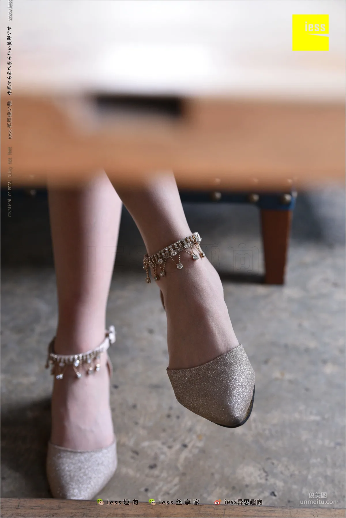 Chun Chun: IESS No. 217 photo 13