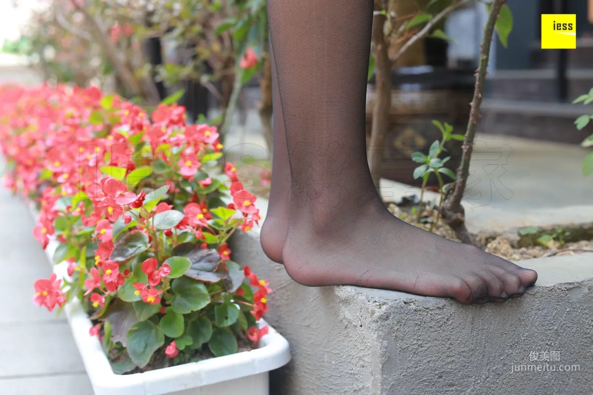 Mu Mu 'Dimple Beauty in Black Stockings' [IESS] Silk Enjoyer 204 Photo Set photo 63