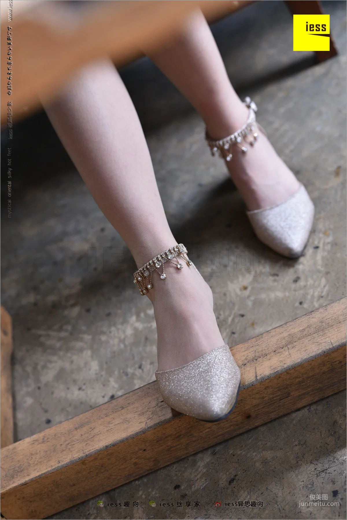 Chun Chun: IESS No. 217 photo 7