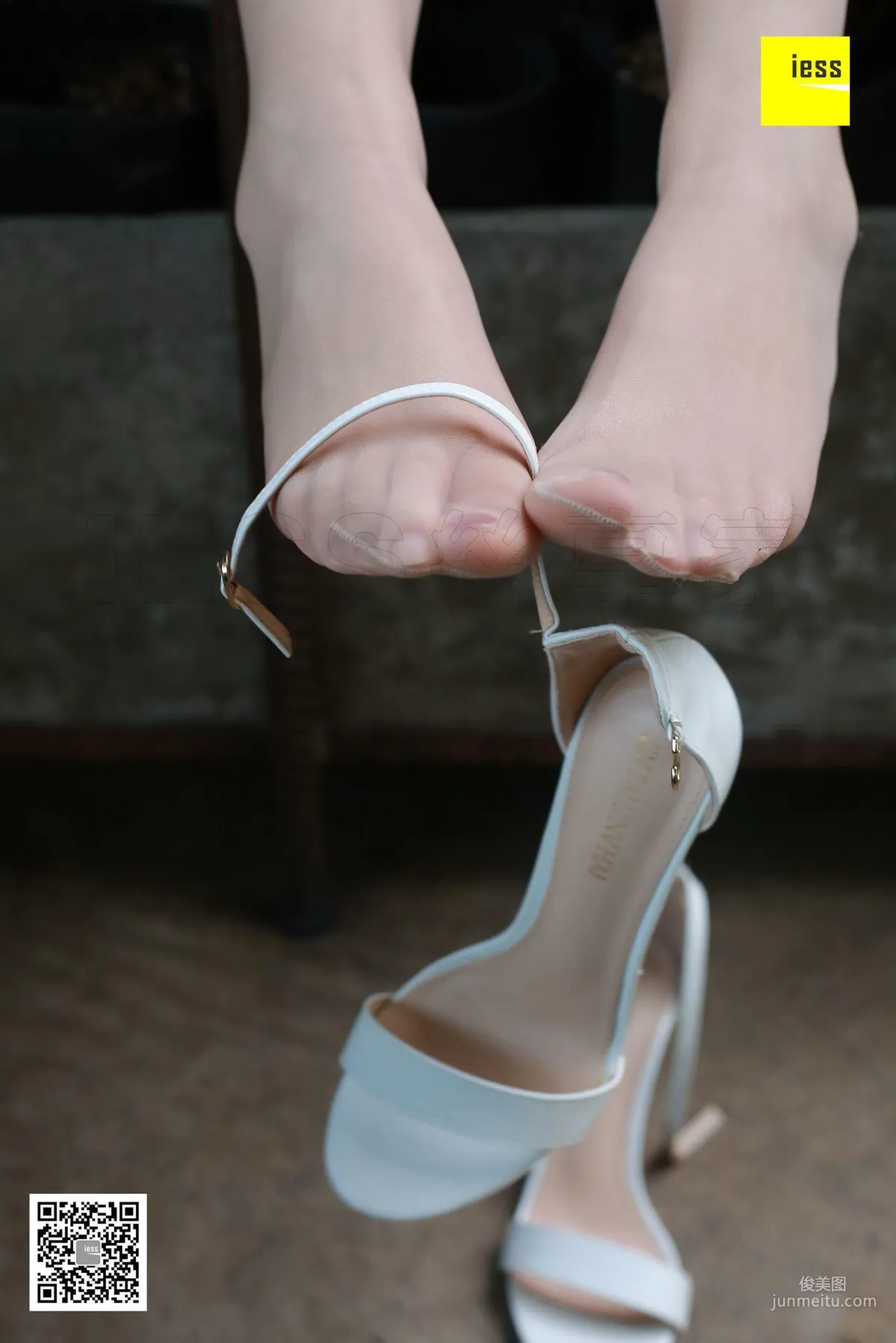 Julia: IESS No. 208 photo 87