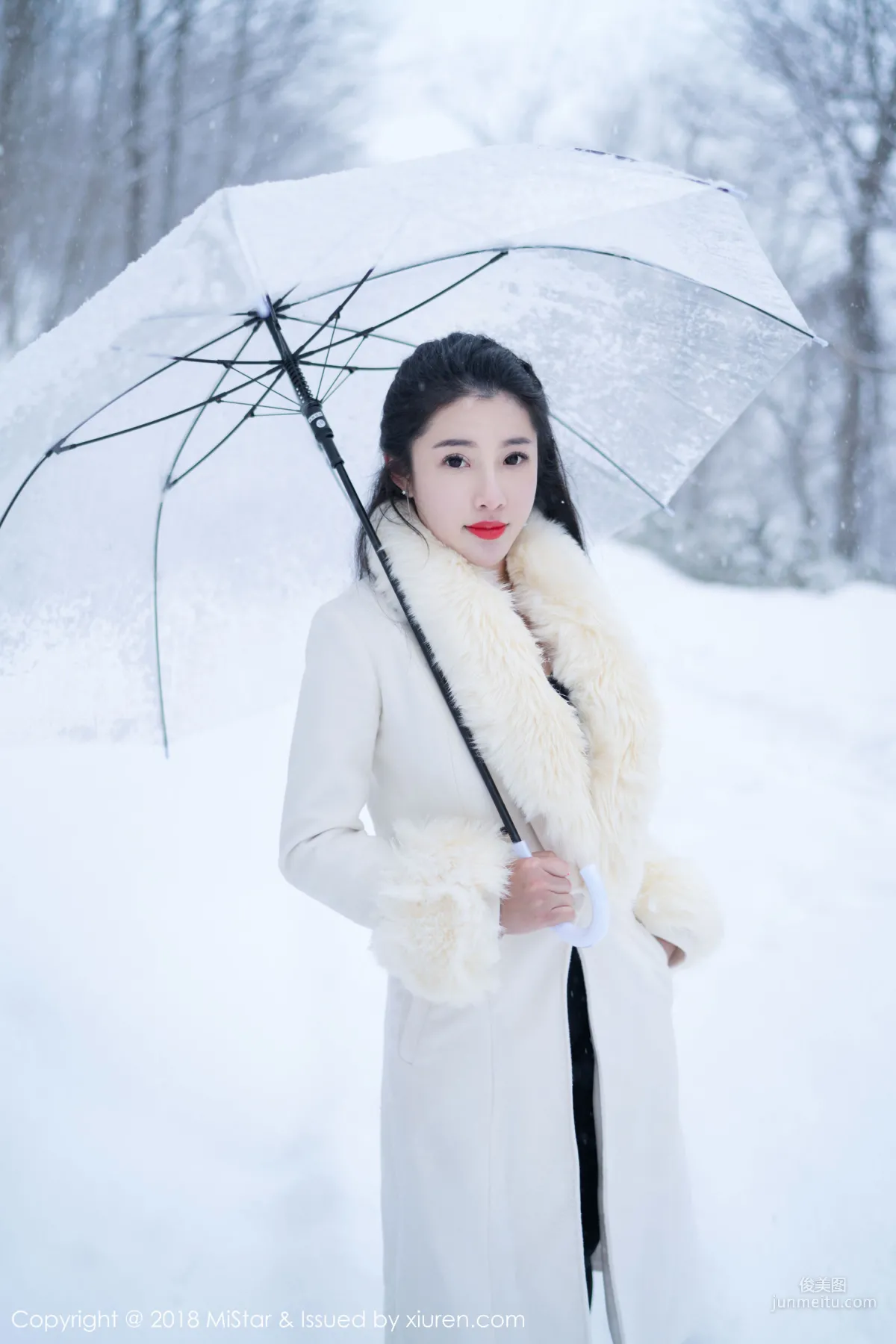 Chen Jiajia Tiffany, Beauty in the Snow and Sexy Dudou, [MiStar] VOL.216 Photo Set photo 33