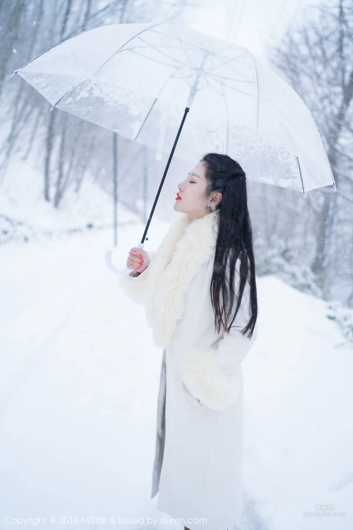 Chen Jiajia Tiffany, Beauty in the Snow and Sexy Dudou, [MiStar] VOL.216 Photo Set photo 31