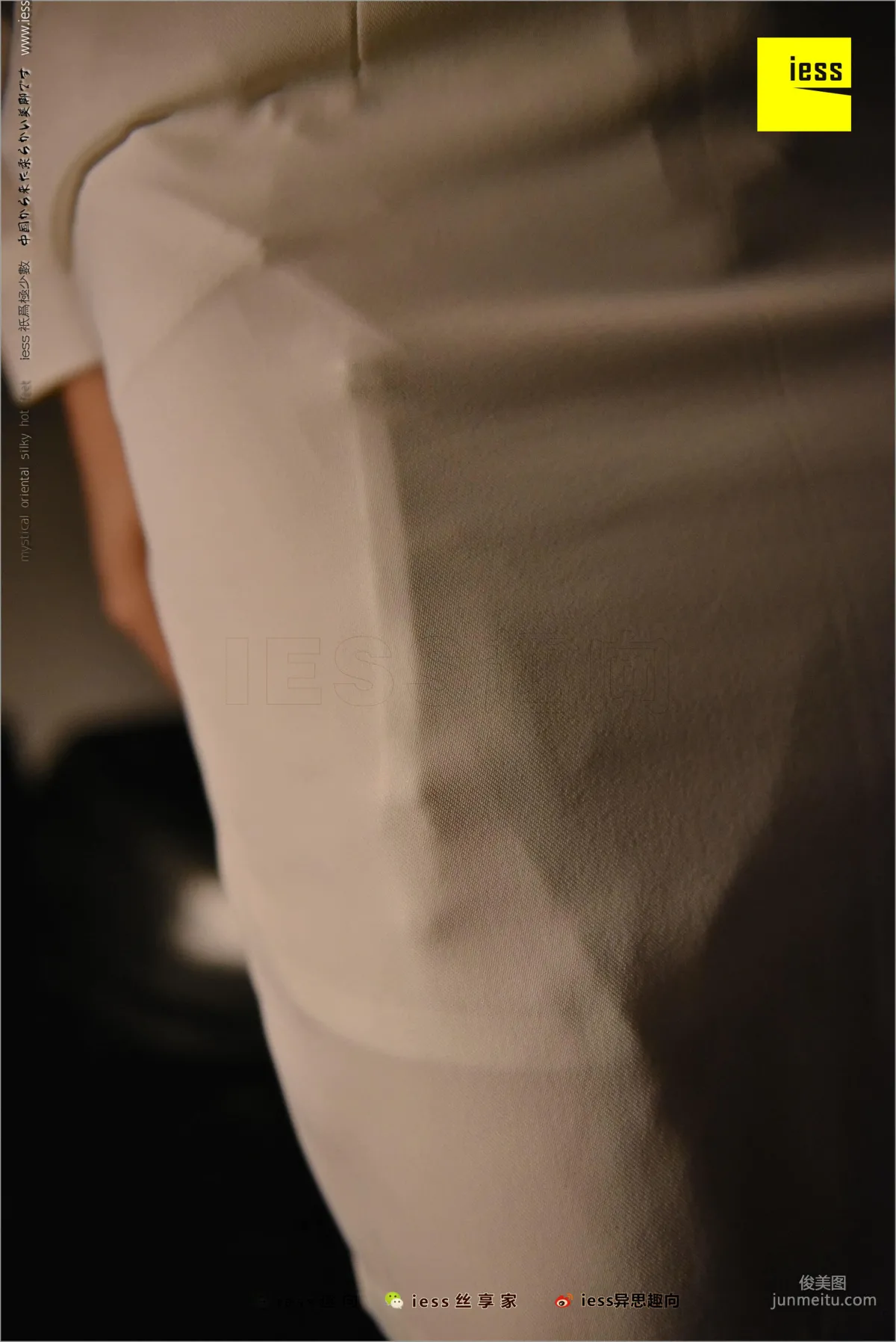Julia Junjun: IESS No. 219 photo 35