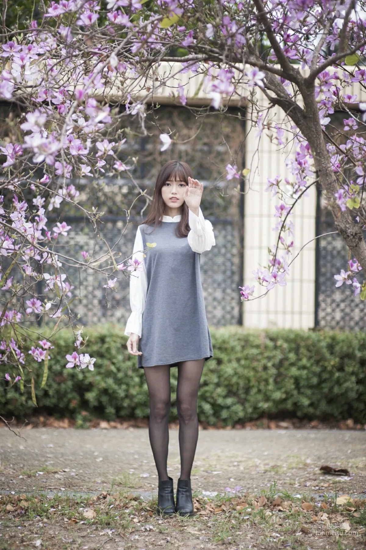 [Taiwan Beauties] Lijia Peng (Lady Yiyi), Black Stockings Under the Cherry Blossoms Photo Set photo 7