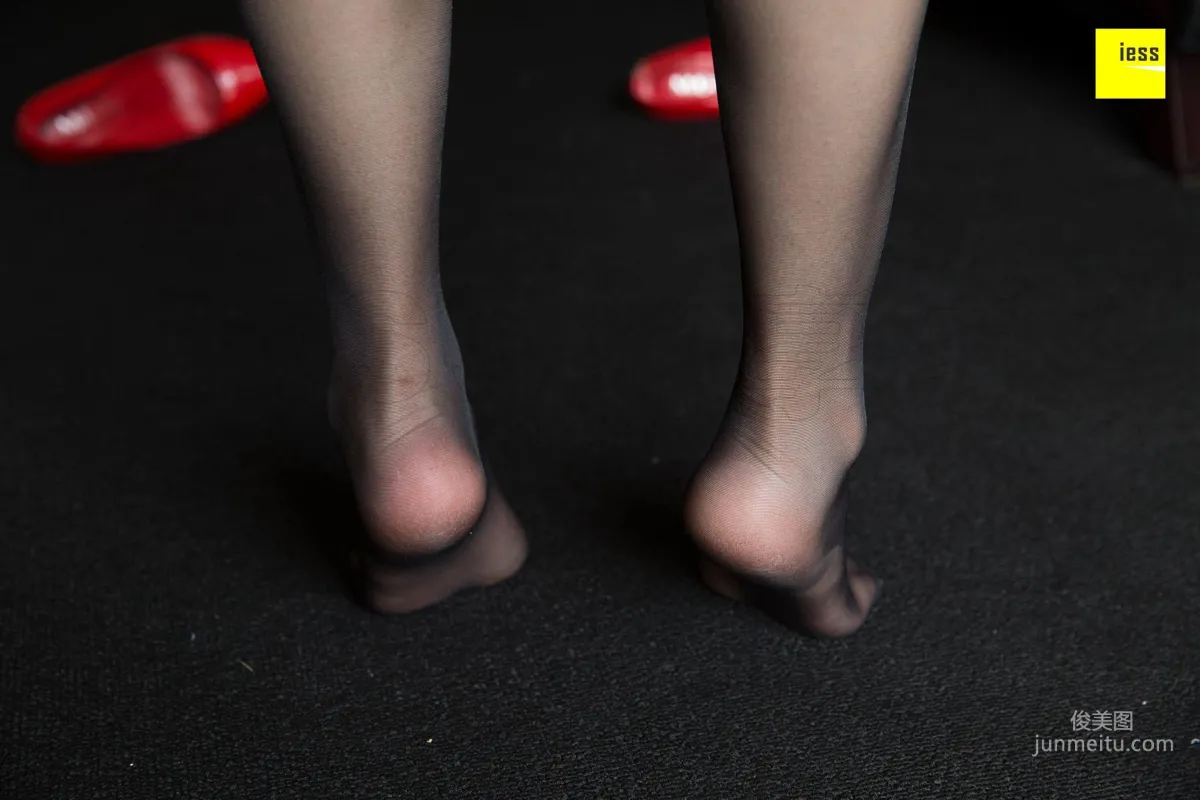 Wen Xin: IESS No. 232 photo 93