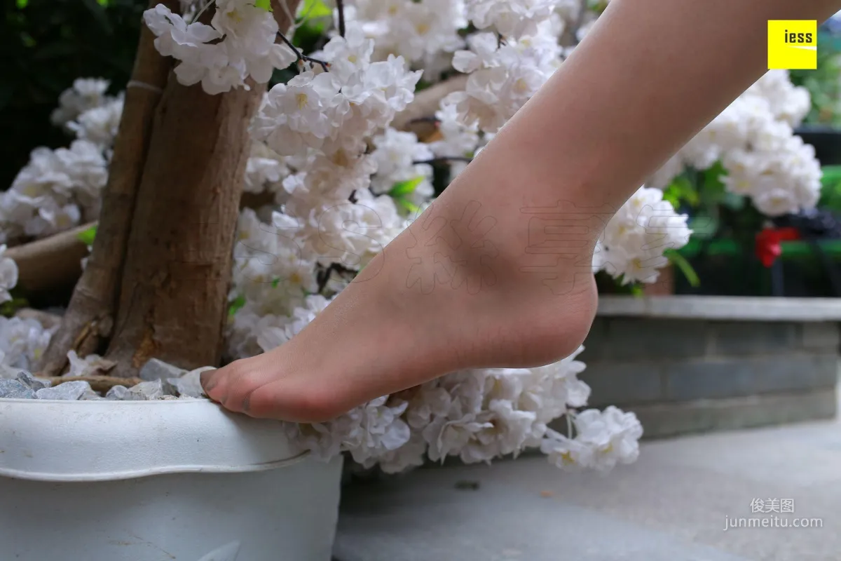 Zi Zi, Fair Skin and Beautiful Face with Tender Toes [IESS] Silk Enjoyer 235 Photo Set photo 64