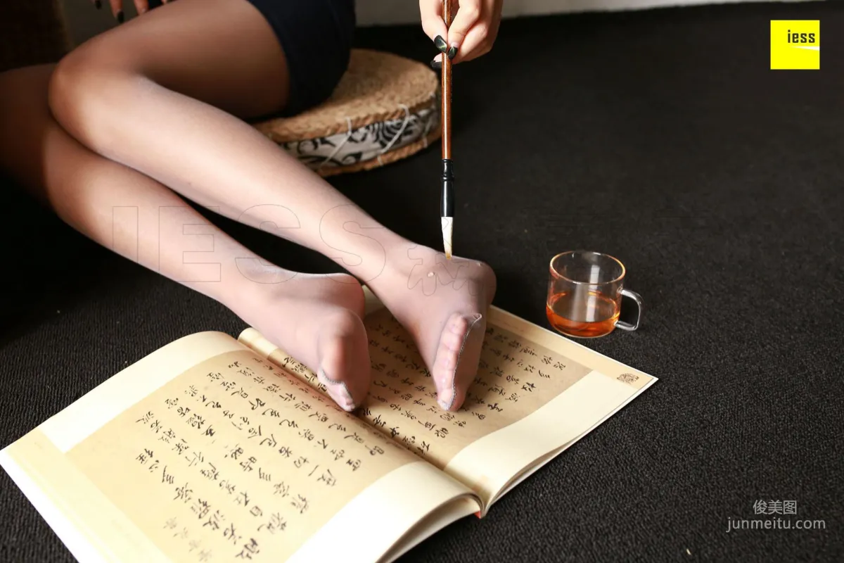 Wan Ping: IESS No. 230 photo 83