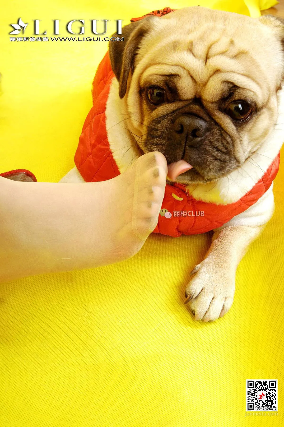 Lu Lu, New Spring Silk Stockings [Ligui] Web Beauty Photo Set photo 14