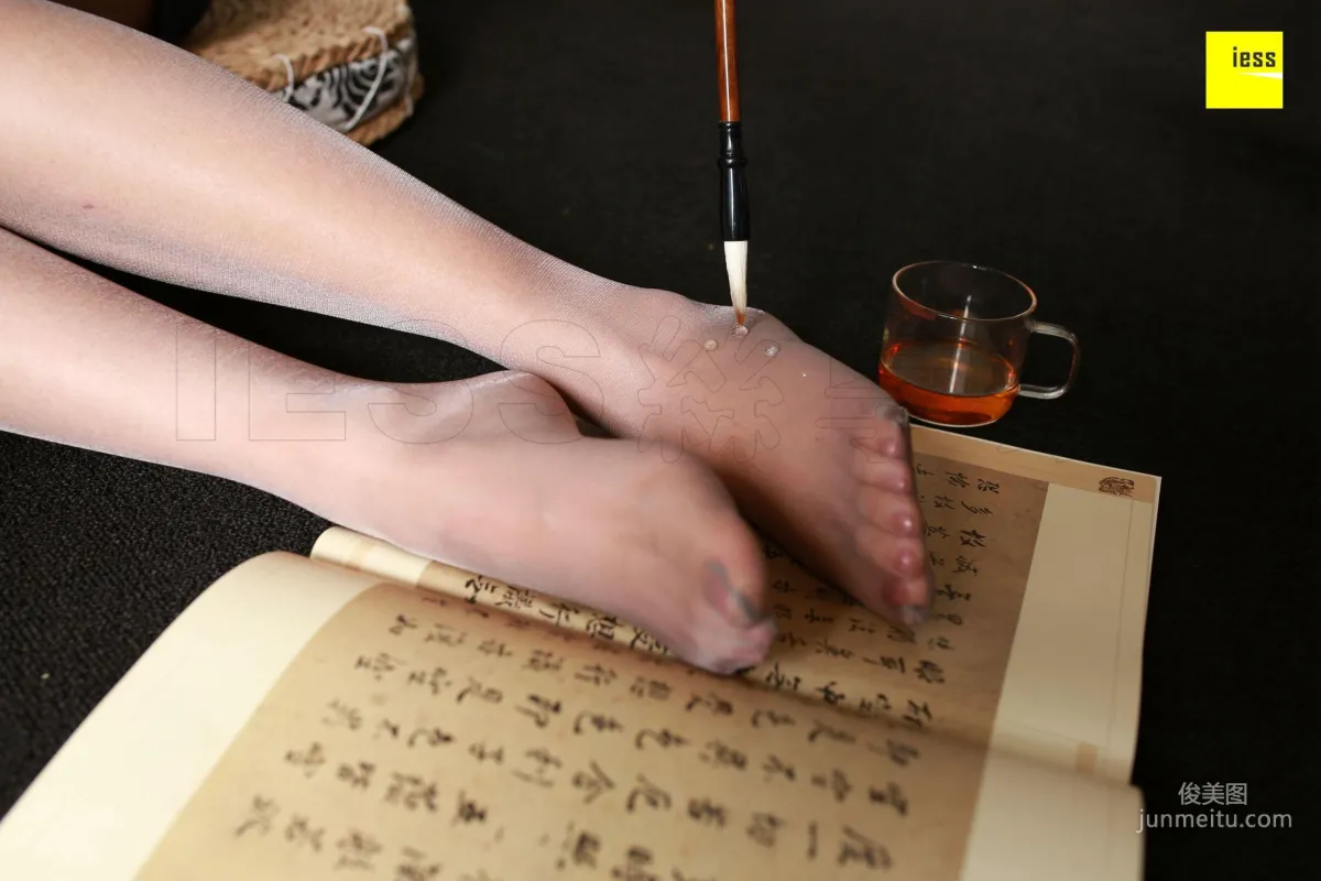 Wan Ping: IESS No. 230 photo 86