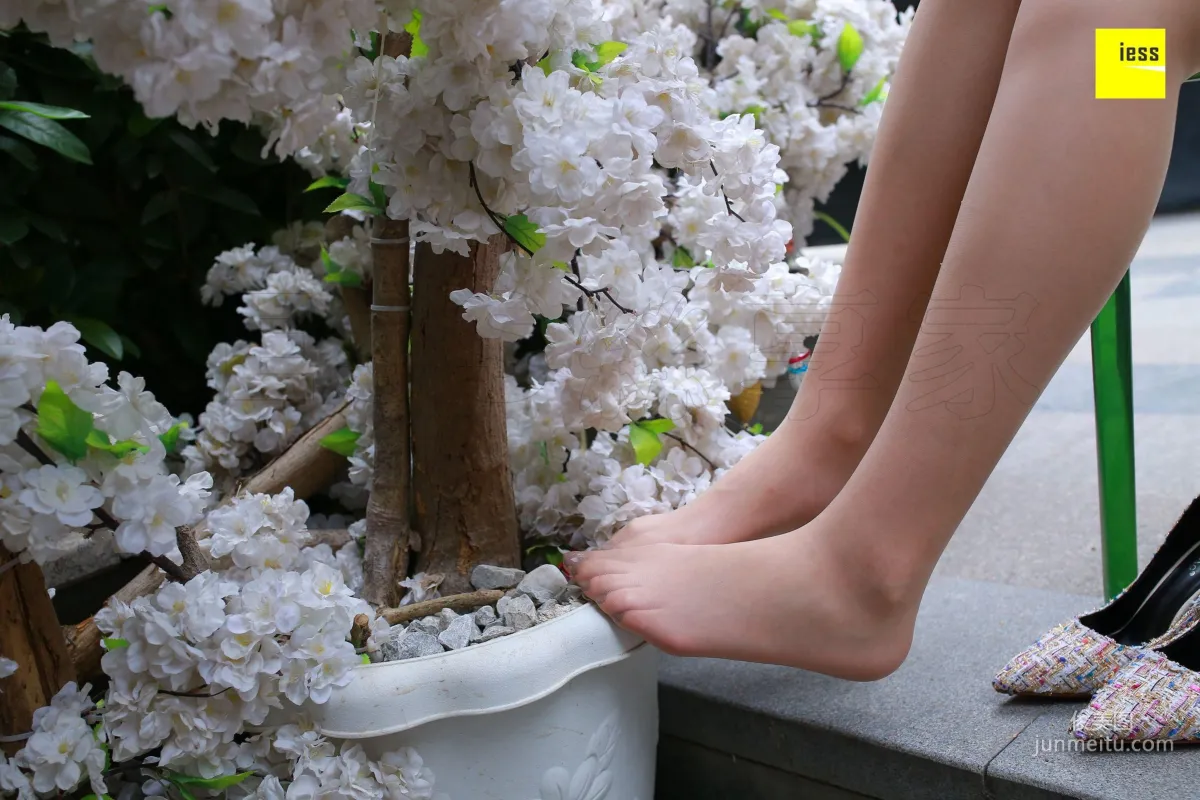 Zi Zi, Fair Skin and Beautiful Face with Tender Toes [IESS] Silk Enjoyer 235 Photo Set photo 63