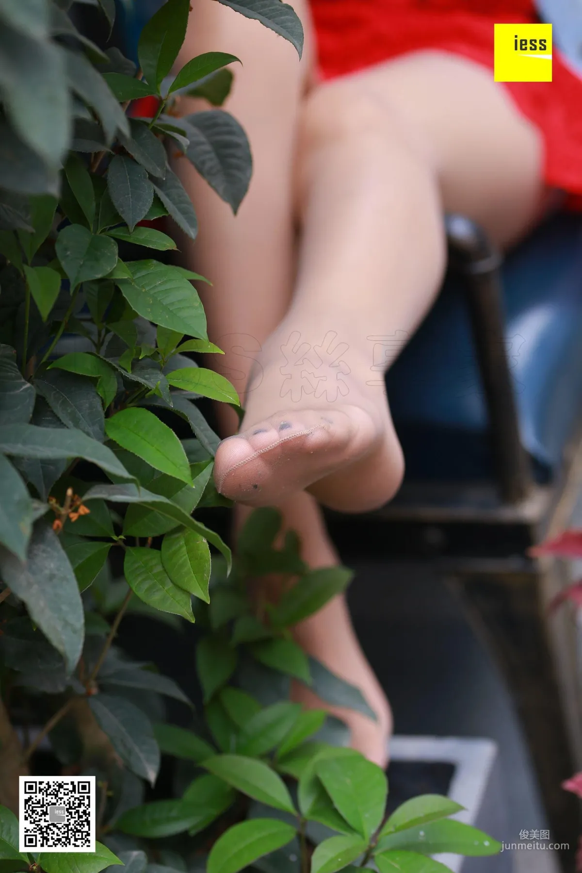 Lama Junjun: IESS No. 253 photo 42