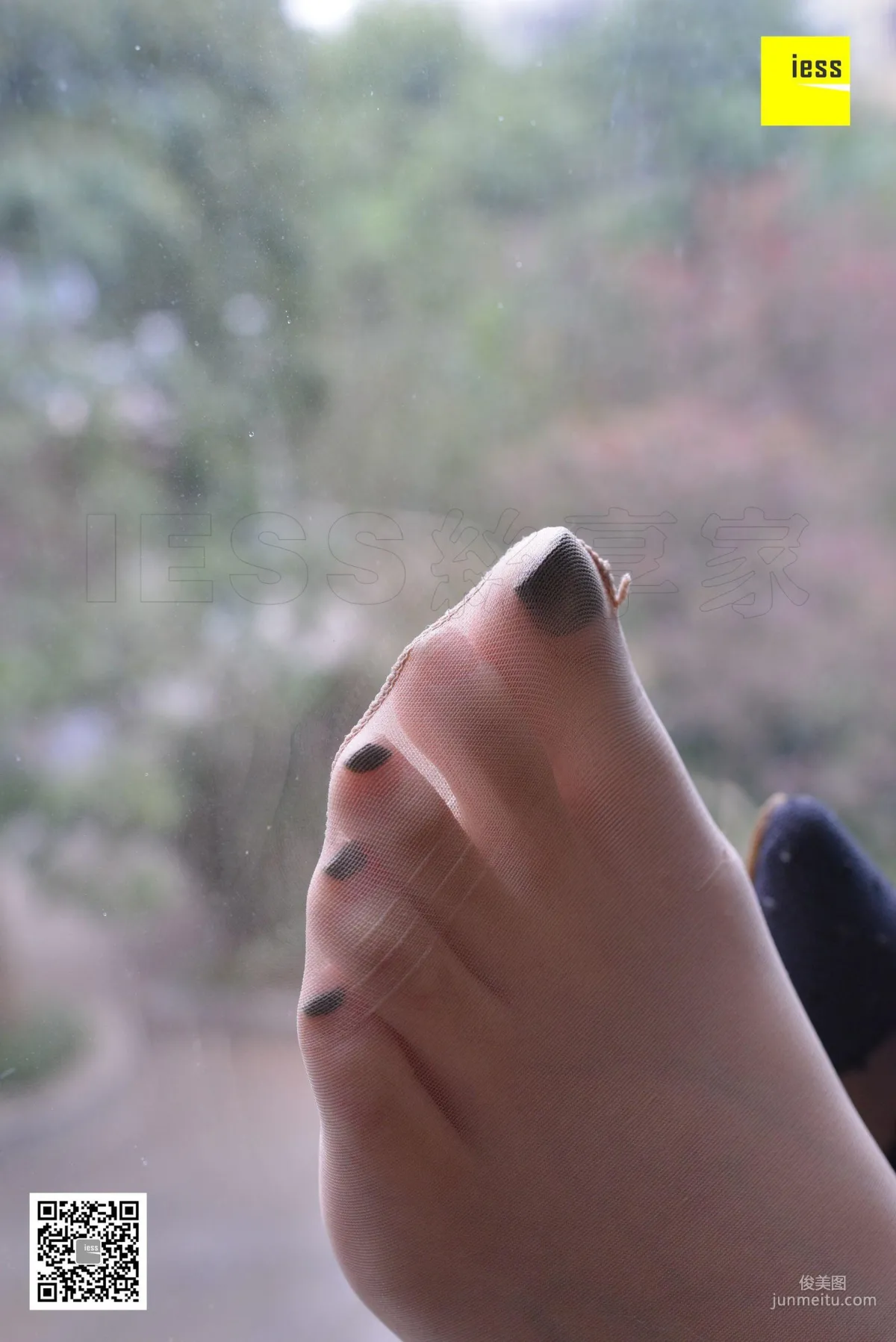 Zi Zi: IESS No. 252 photo 77