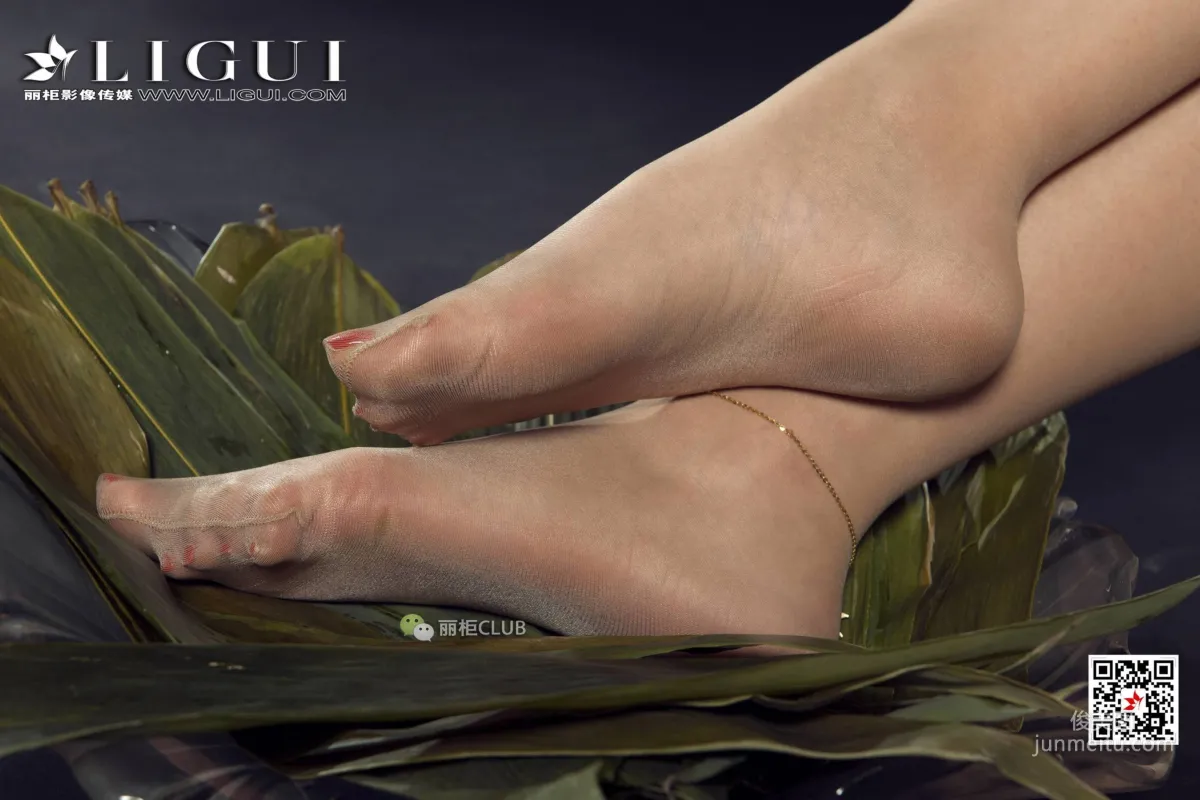 Zumo Xuegao: Ligui photo 14