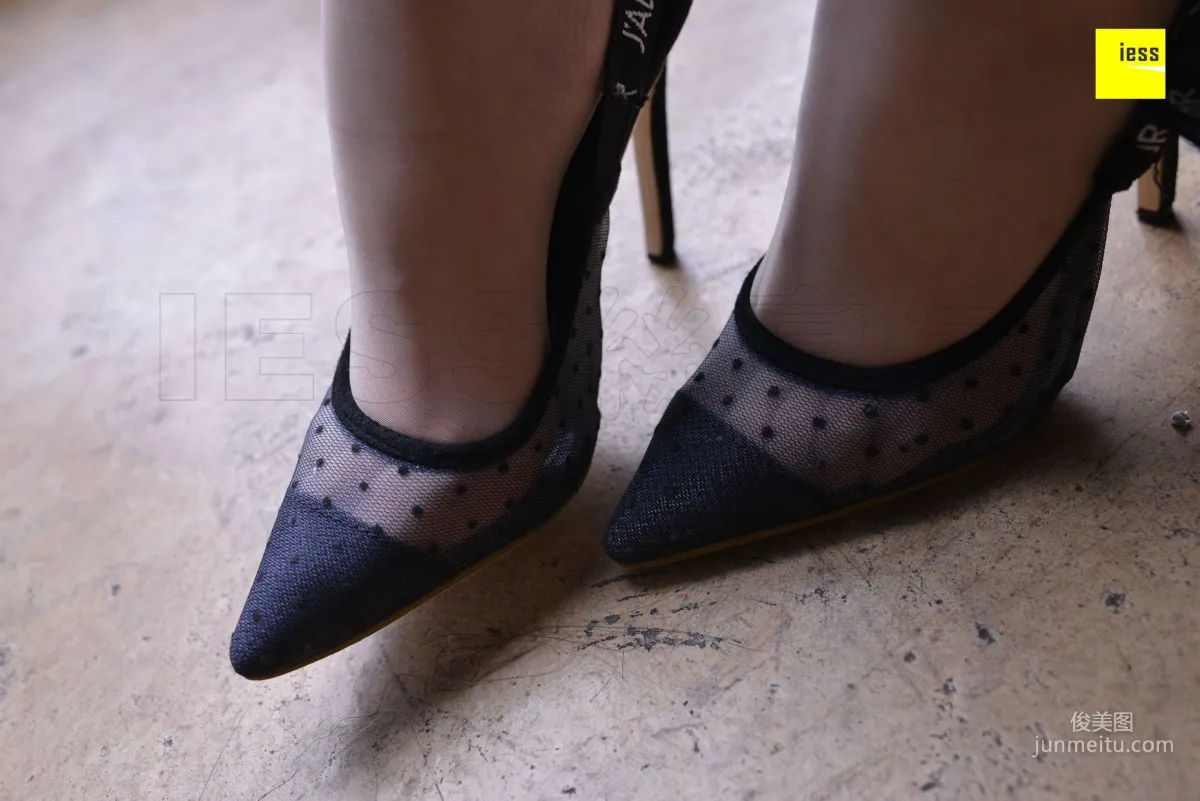 Zi Zi: IESS No. 252 photo 11
