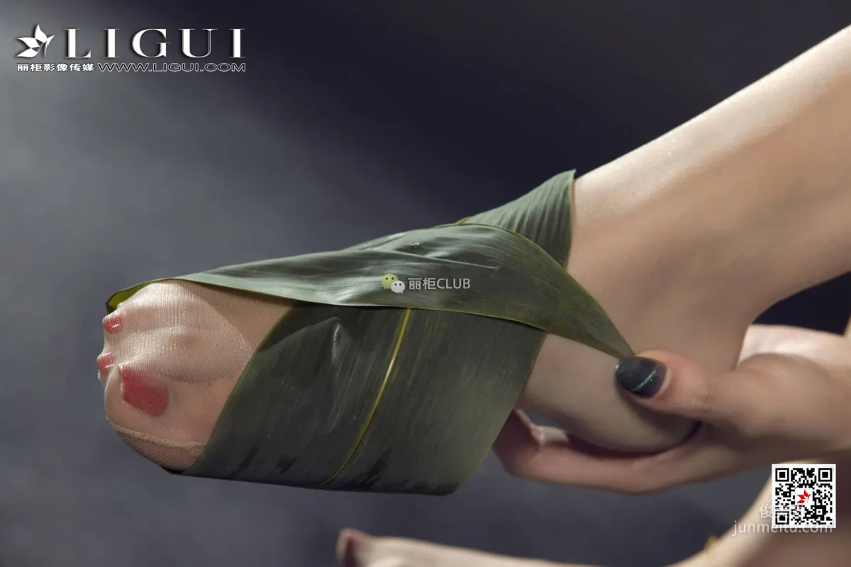 Zumo Xuegao: Ligui photo 6