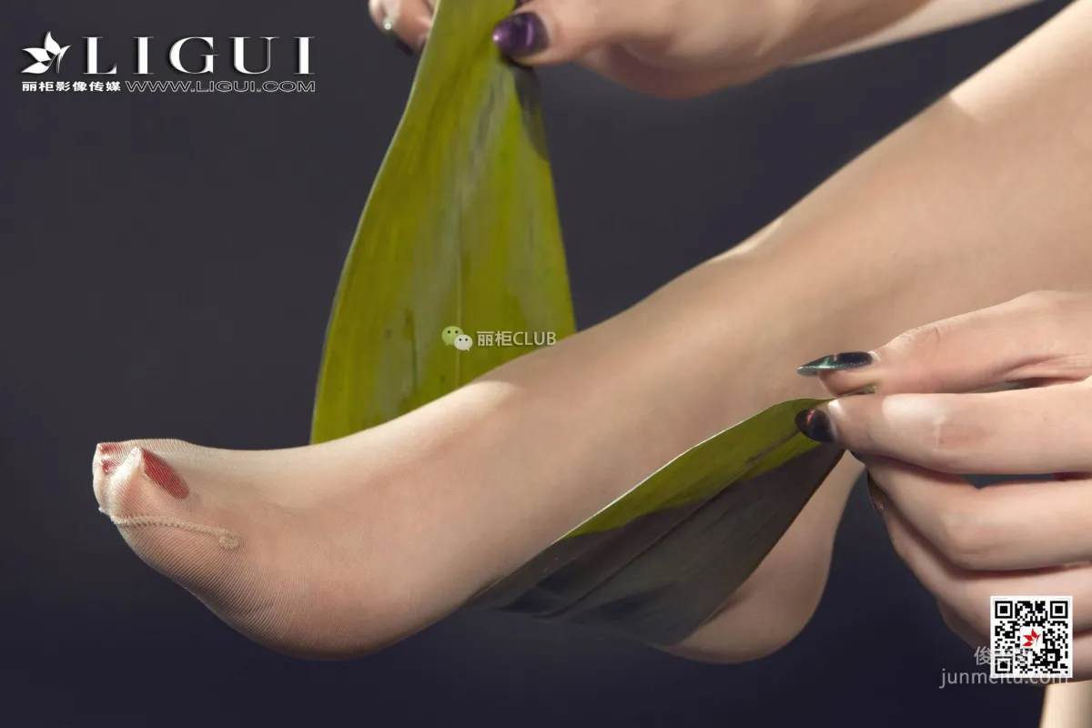 Zumo Xuegao: Ligui photo 9