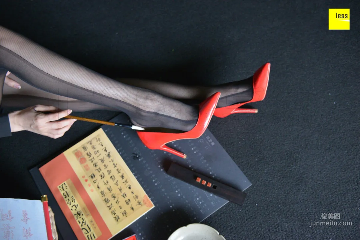 Lama Junjun: IESS No. 317 photo 20