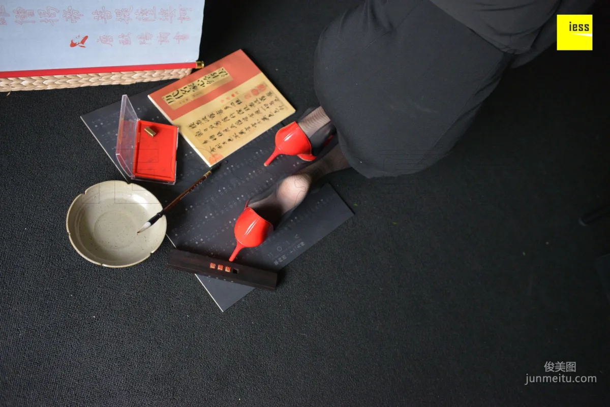 Lama Junjun: IESS No. 317 photo 80