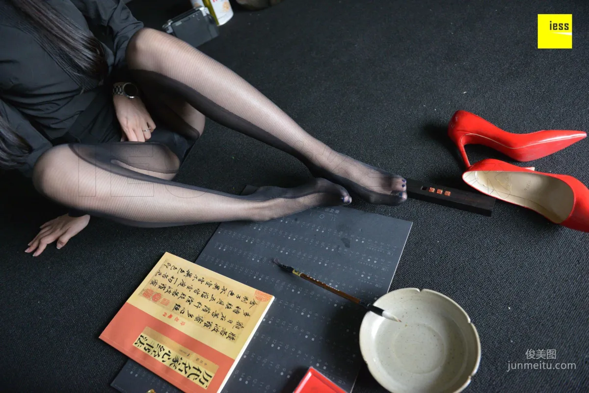 Lama Junjun: IESS No. 317 photo 66