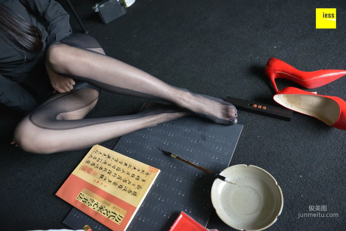 Lama Junjun: IESS No. 317 photo 65