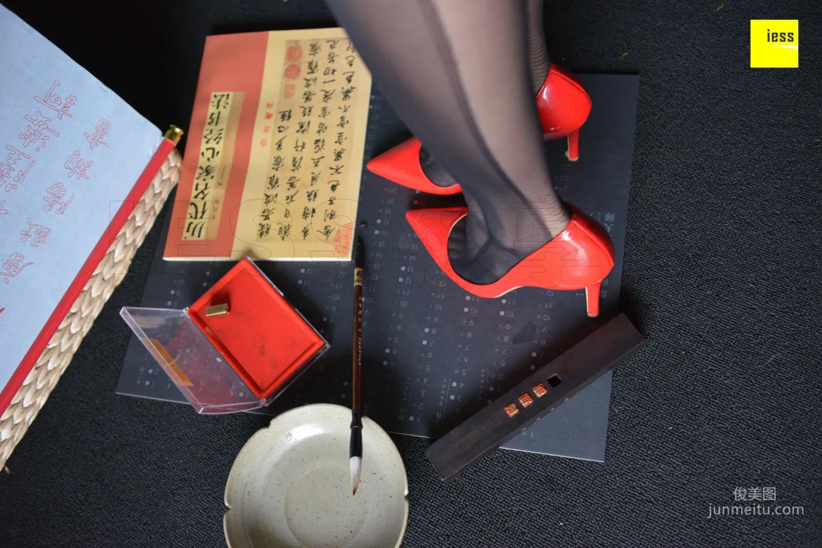 Lama Junjun: IESS No. 317 photo 76