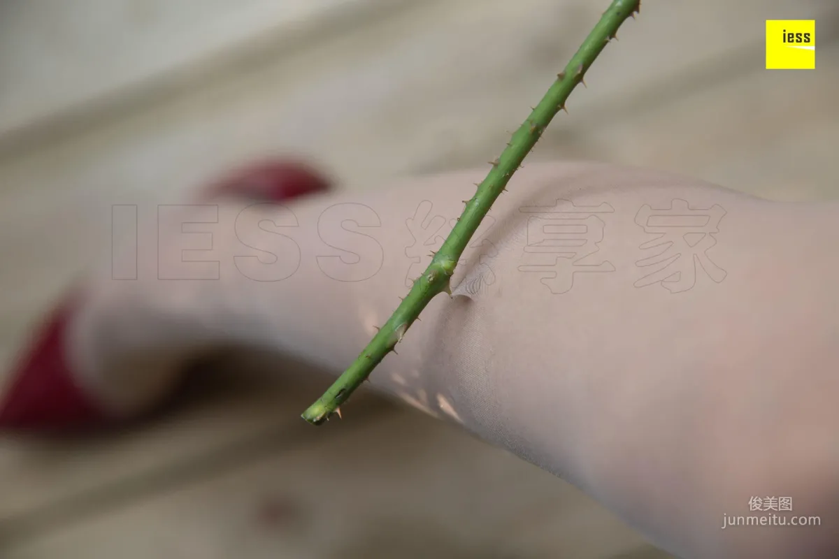 Wan Ping: IESS 《 》 30 photo 46
