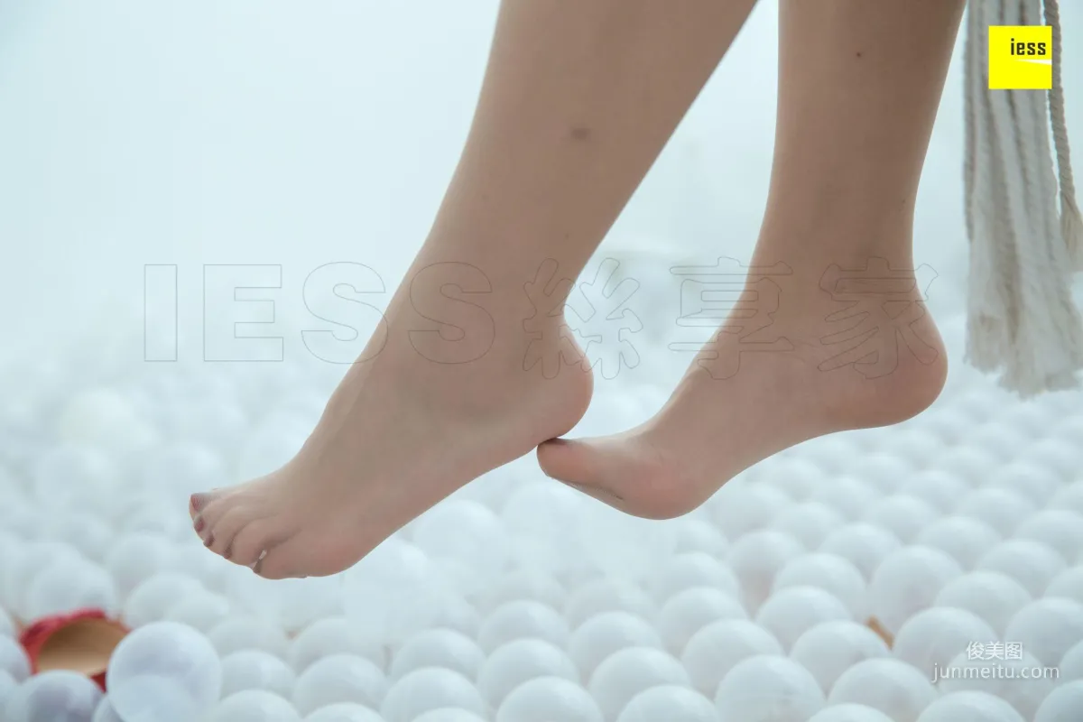 Qi Qi: IESS photo 63