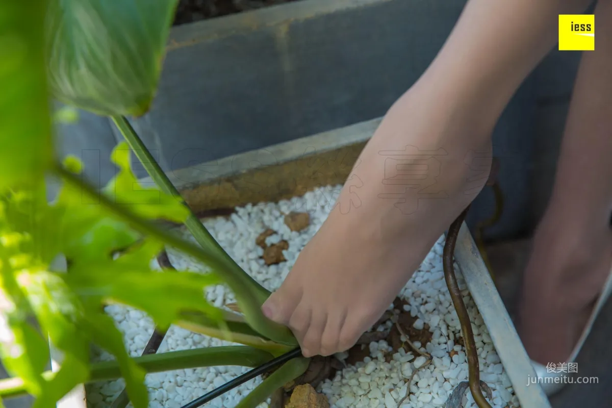 模特婉萍 《婉萍的Q彈腳趾》[異思趣向IESS] 寫真集 38