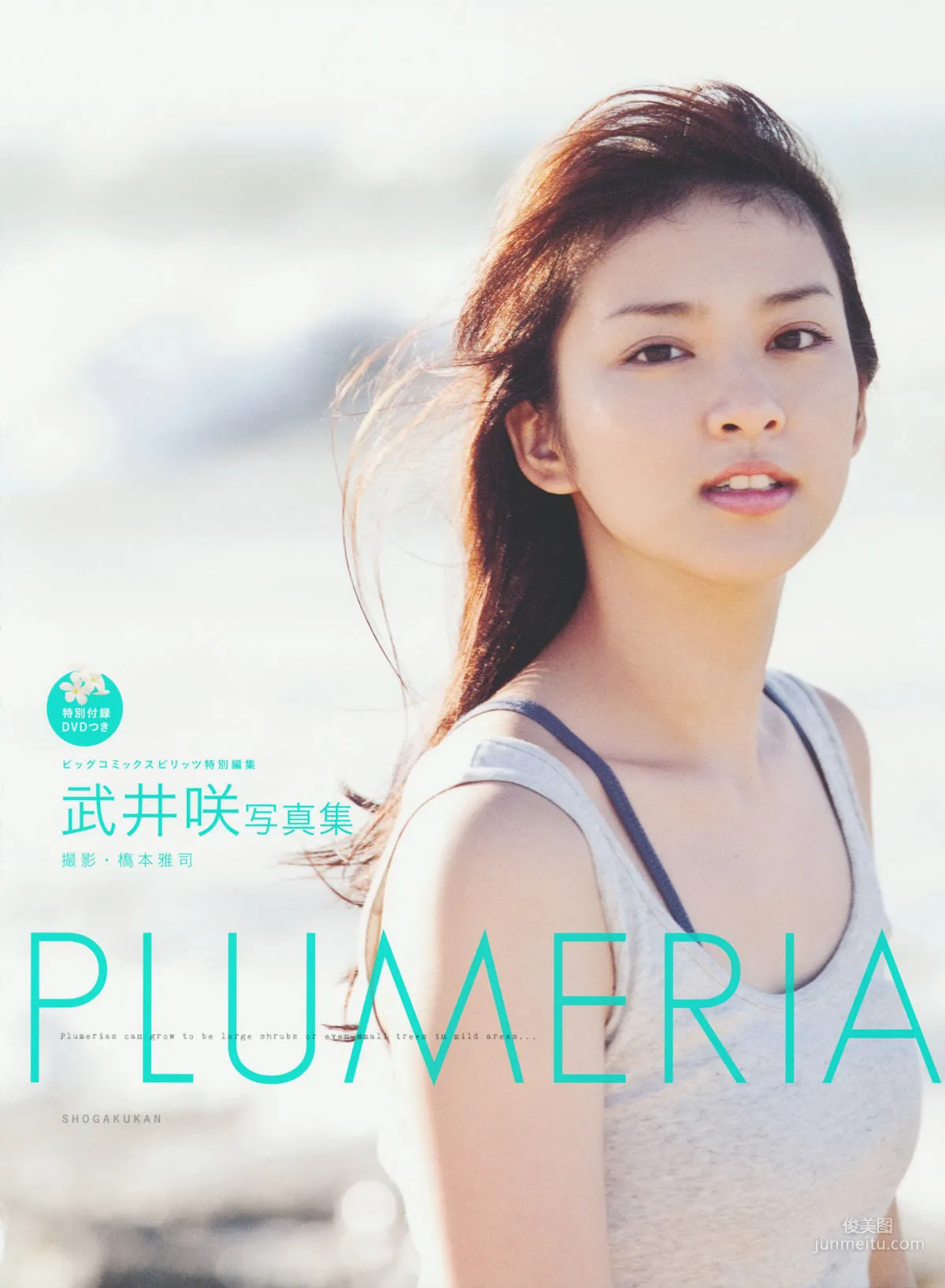 武井咲 《PLUMERIA》 写真集1