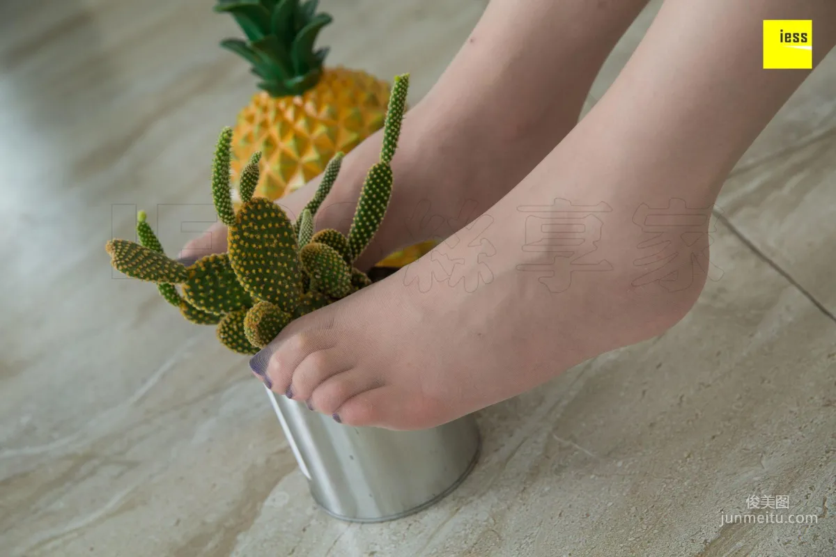 Model Jiu Mei, Jiu Mei Treats You to Pineapple [IESS] Silk Enjoyer 348 Photo Set photo 58