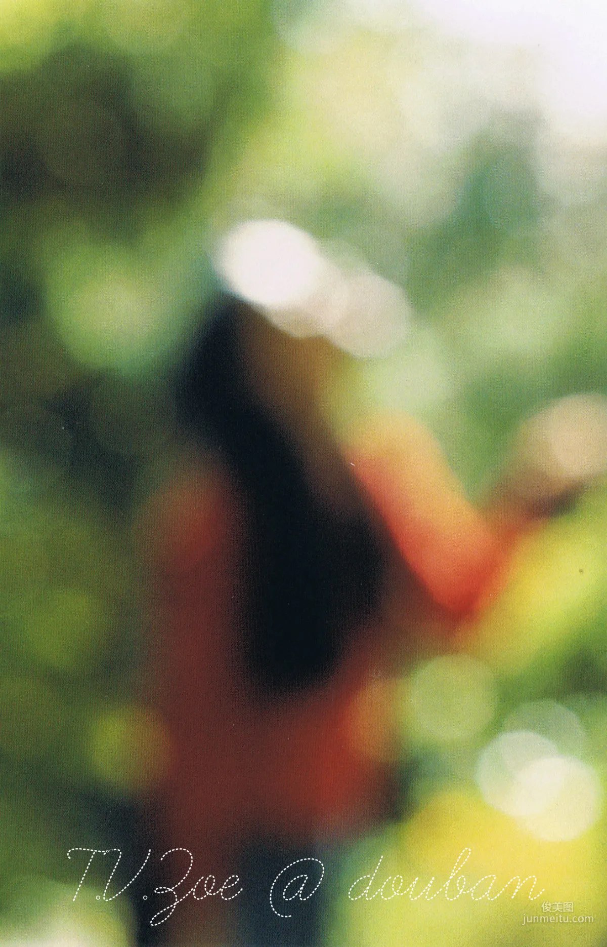 苍井优 『A DREAM 』  写真集32