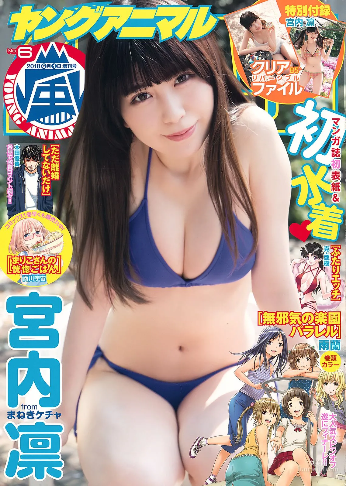 Rin Miyauchi [Young Animal Arashi] Arashi Special Issue 2018 No.06 Photo Magazine photo 1