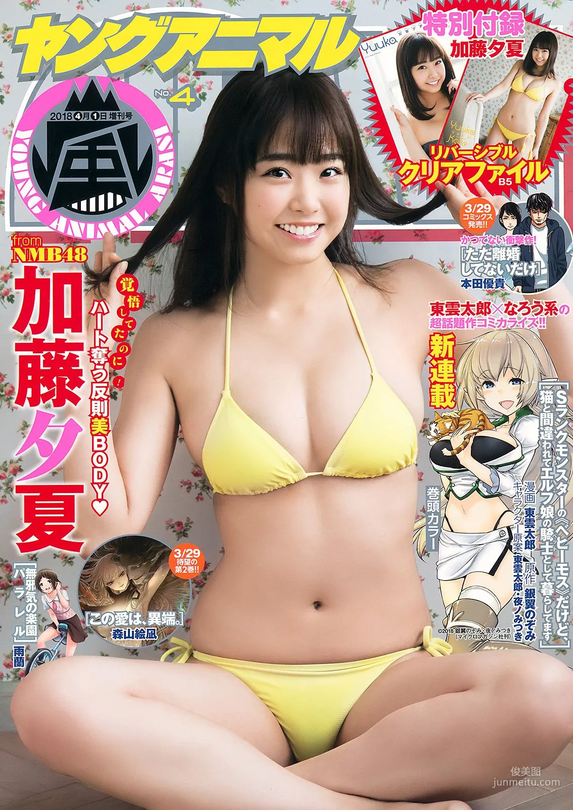 Yuuka Kato [Young Animal Arashi] Arashi Special Issue 2018 No.04 Photo Magazine photo 1