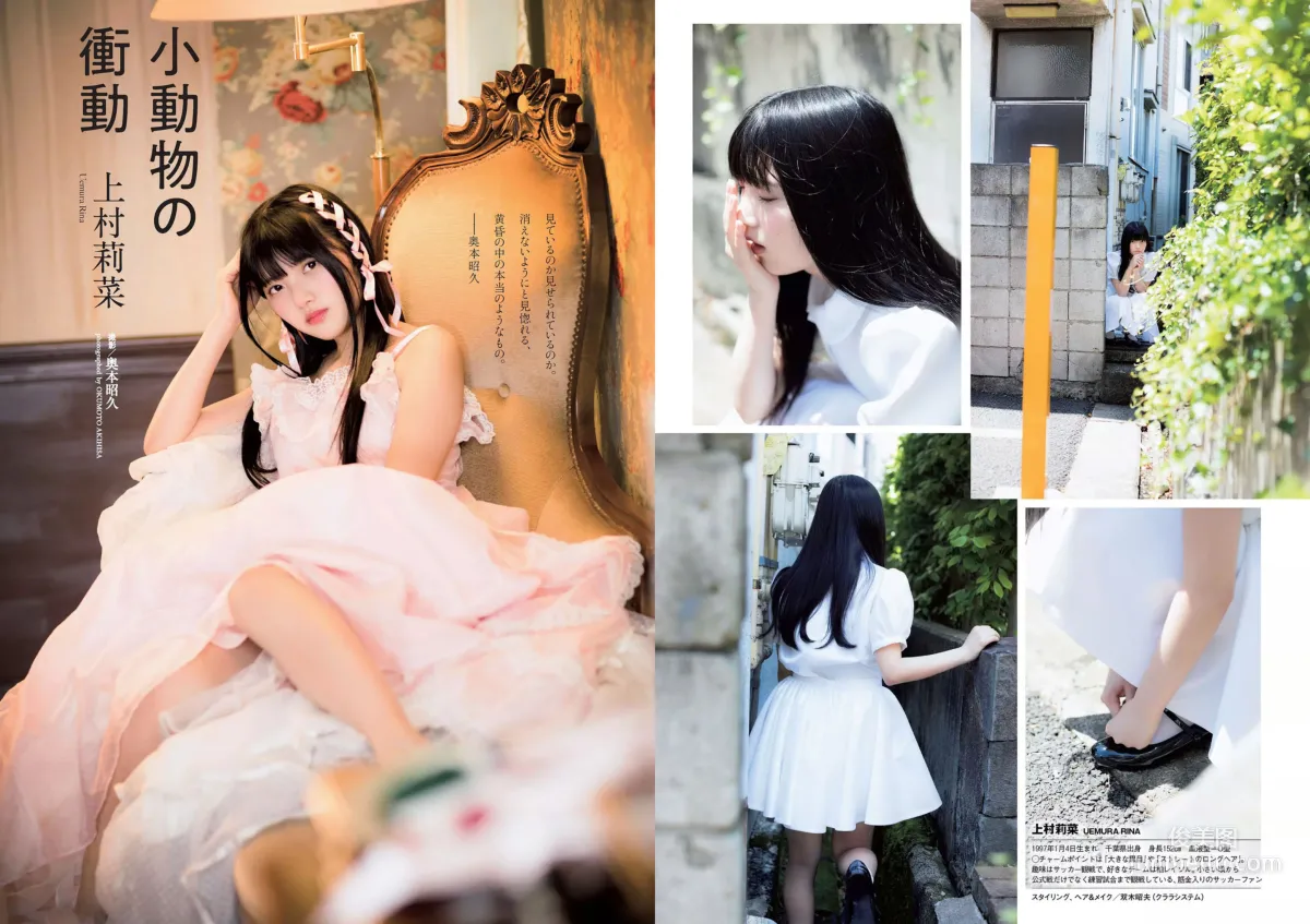Keyakizaka46: Weekly Playboy No. 49 photo 19
