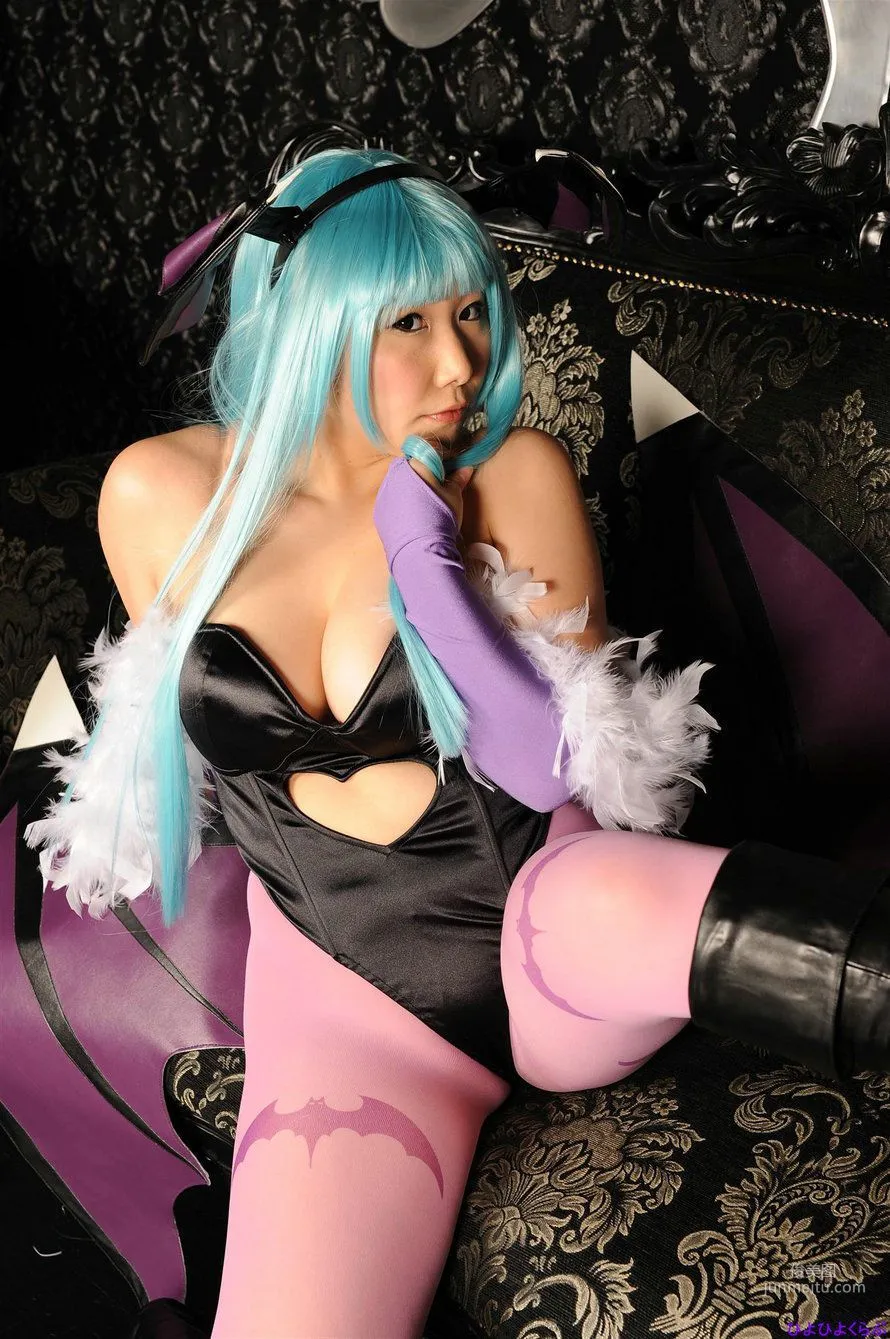 Ymir《Vampire》Morrigan Aensland [Cosplay Collection] Photo Set photo 54