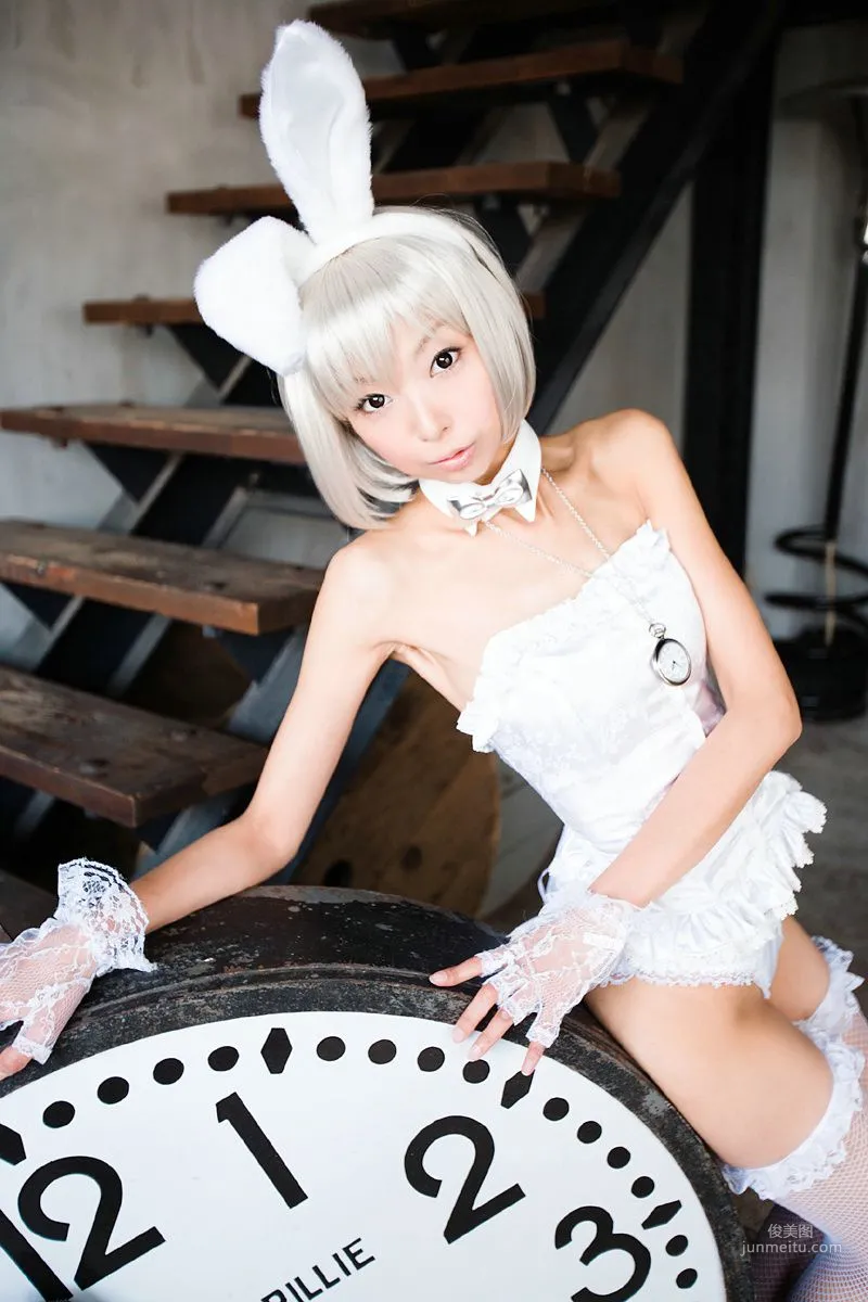 Necoco(ねここ) 《愛麗絲夢遊仙境》5Set 寫真集 5