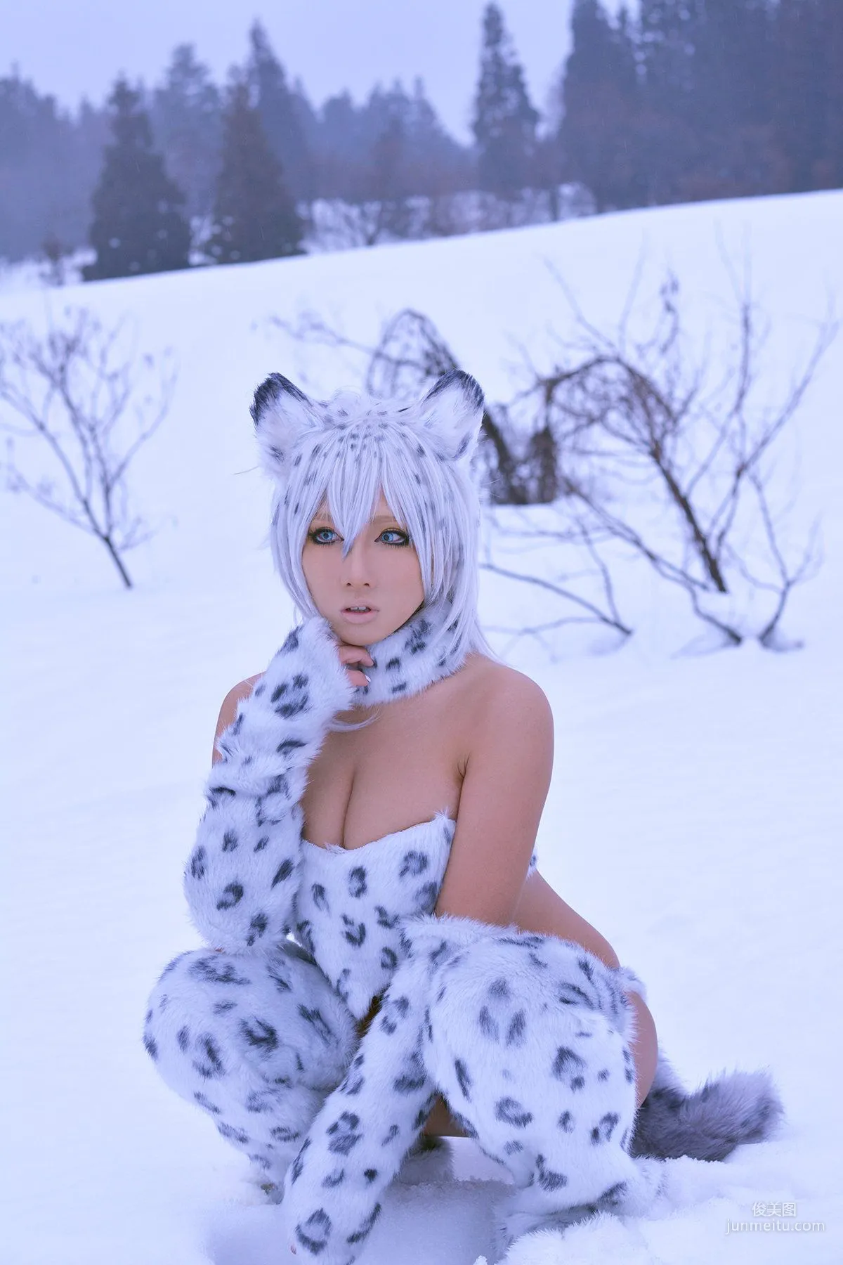 Non SummerJack: Cosplay Collection Snow Leopard photo 39